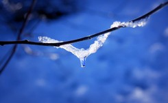 Idzie wiosna! Duże ocieplenie pod koniec stycznia [PROGNOZA]