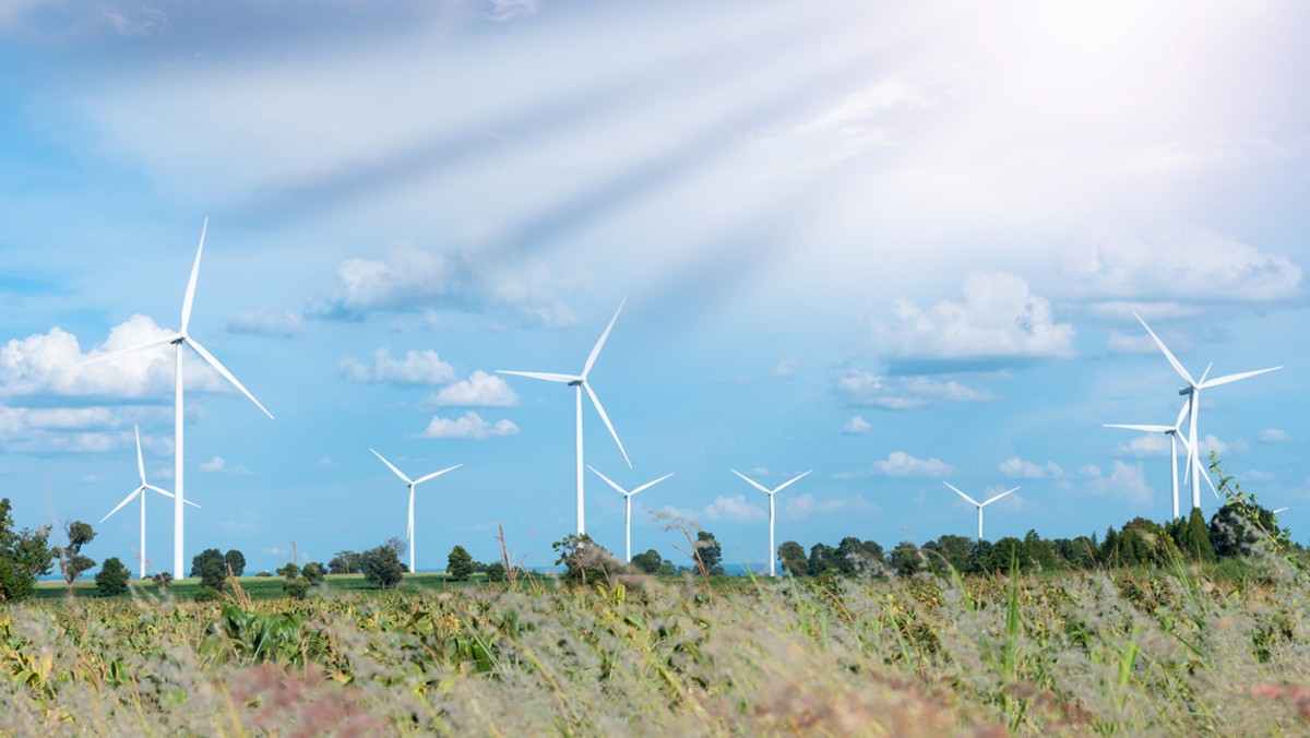 Invenergy, globalna amerykańska firma zajmująca się energią odnawialną, zawiadomiła polskie władze, że oczekuje ok. 700 mln dol. odszkodowania za zerwanie z nią w latach 2013-2015 kontraktów przez spółki skarbu państwa. Miało to być według niej „aktem równoznacznym z wywłaszczeniem”.