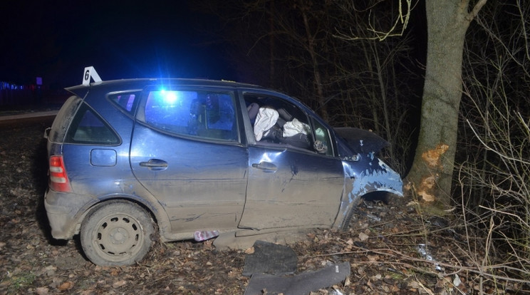 Pillanatnyi figyelmetlenség miatt veszítette életét egy balesetben egy 10 éves gyermek /Fotó: Police.hu