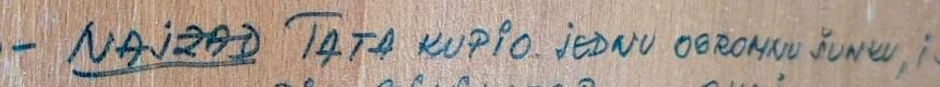 "Najzad. Tata kupio jednu ogromnu šunku,..."