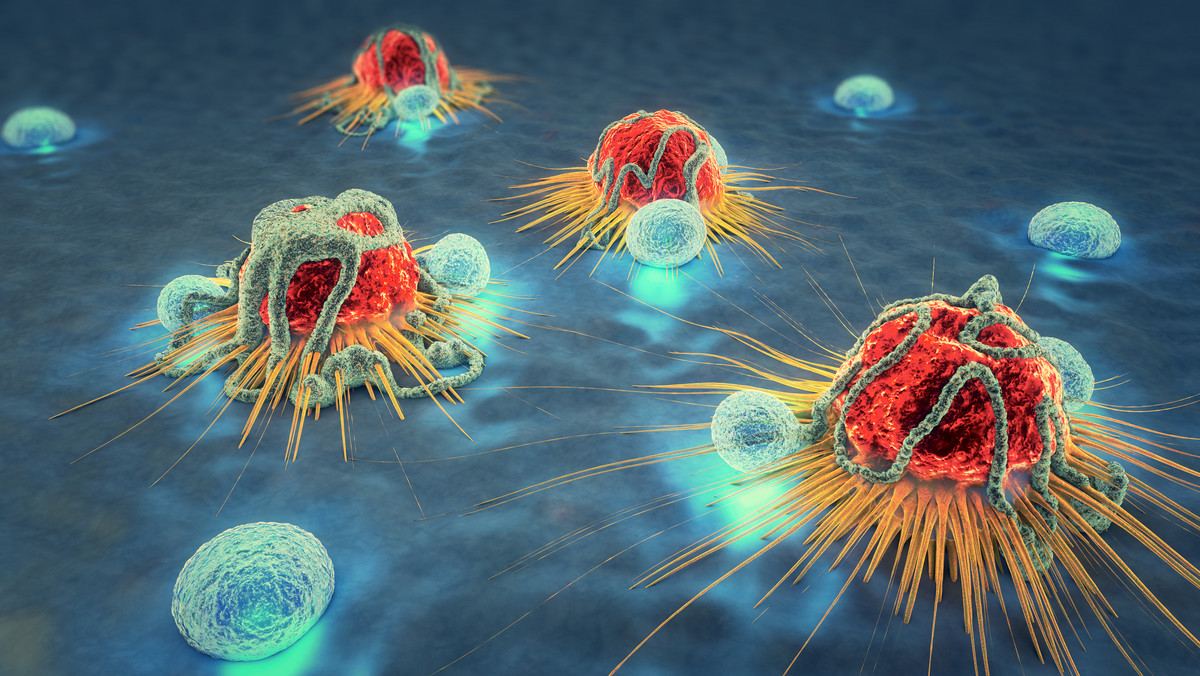 Choroba autoimmunologiczna powoduje agresywną reakcję układu immunologicznego, który atakuje własne tkanki. Działa więc w stronę przeciwną do zamierzonej, ponieważ jego zadaniem jest przede wszystkim rozprawienie się z infekcjami. Typowe choroby autoimmunologiczne to np. toczeń, reumatoidalne zapalenie stawów, cukrzyca czy zapalenie tarczycy.