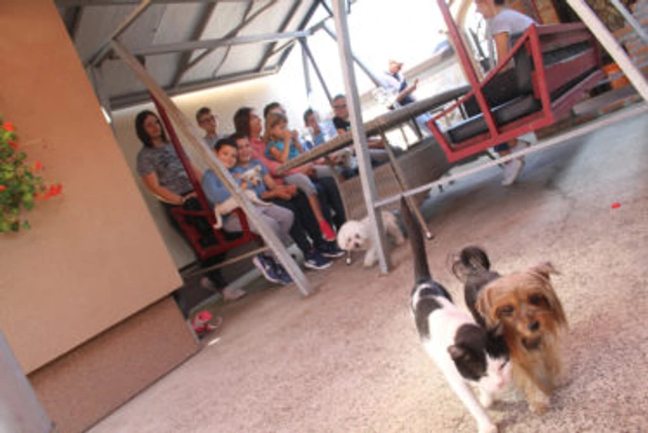 Mesta ima i za kućne ljubimce