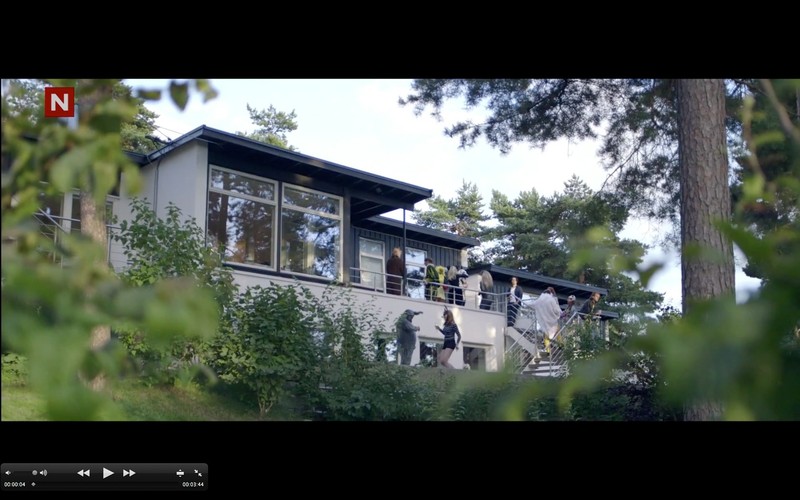 Kadry z klipu do 'What does the Fox say?'