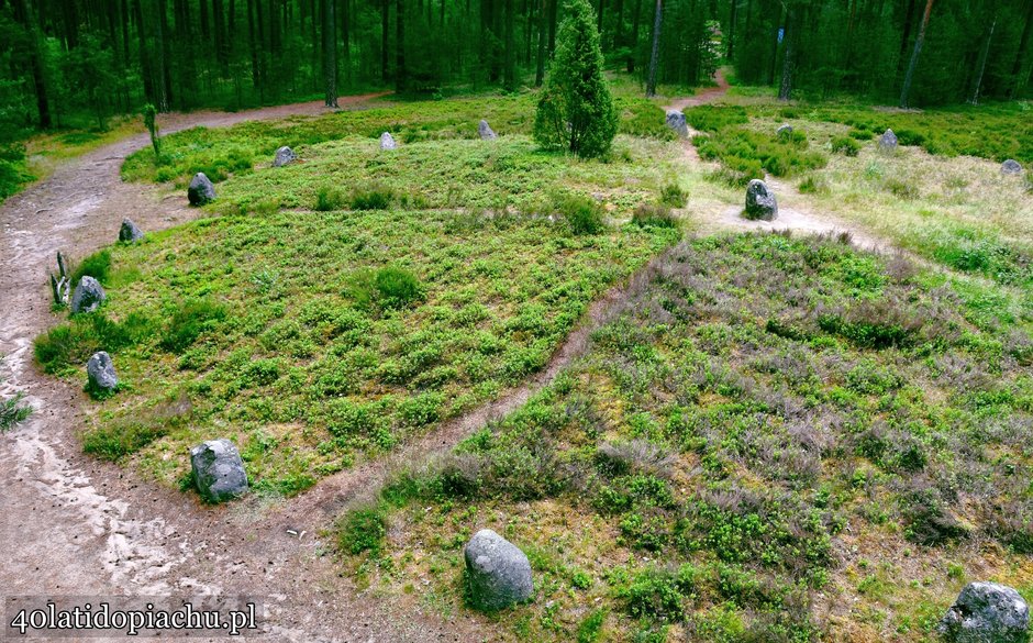 Rezerwat Kamienne Kręgi w Odrach