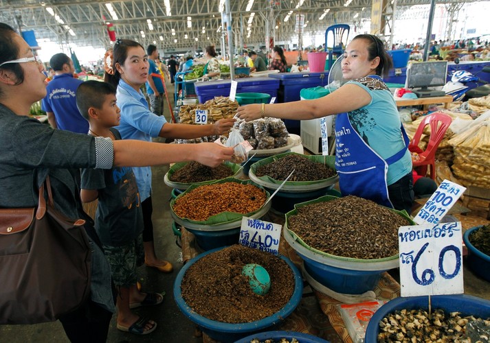 Rynek pełen robaków. Gratka dla smakoszy