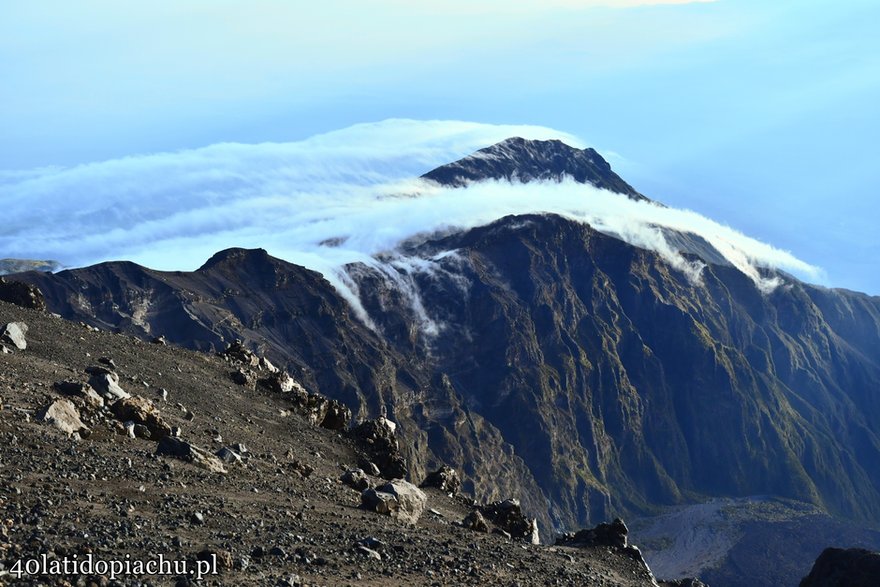 W drodze na Mount Meru, Tanzania 2021