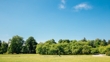 Park Cytadela - jedna z ciekawszych atrakcji Poznania