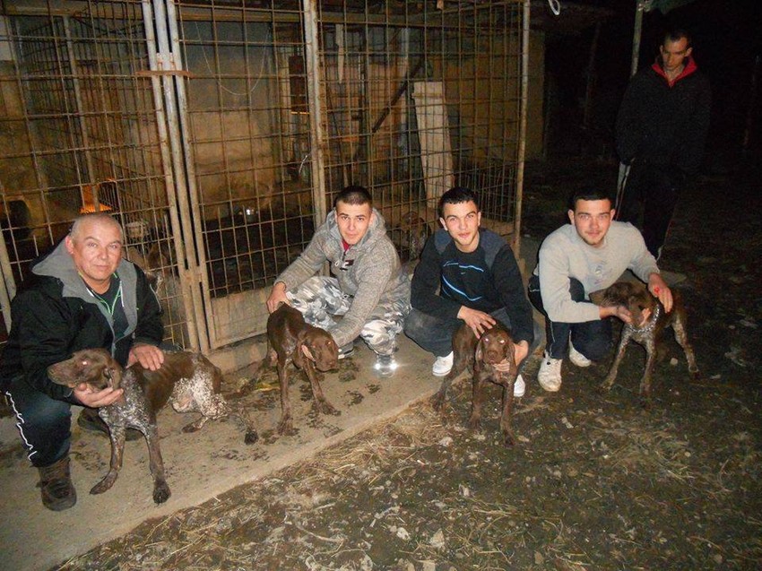 Građani koji su se odmah odazvali i udomili nekoliko pasa