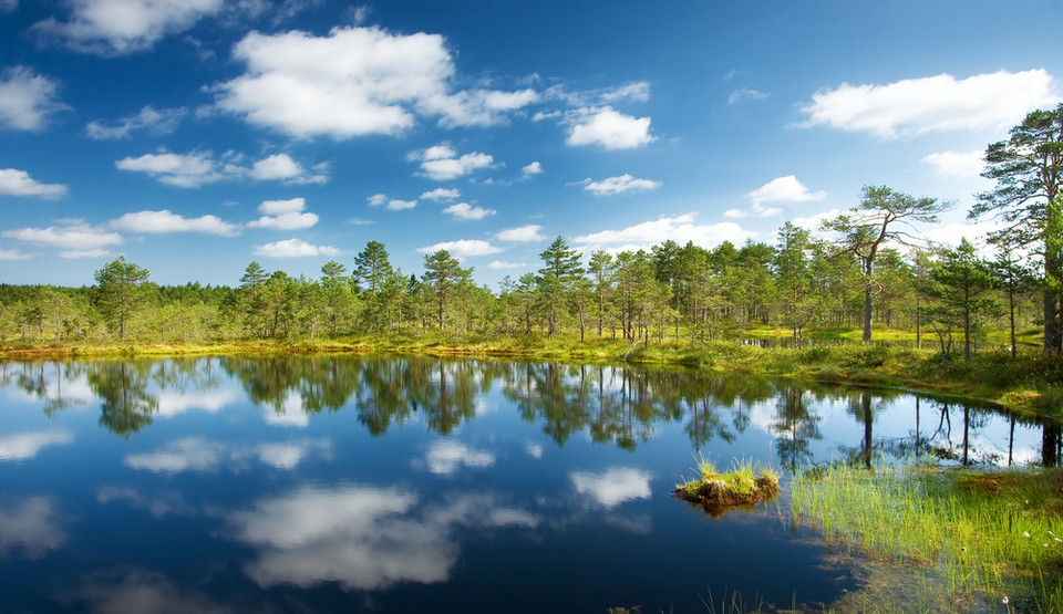 Park Narodowy Lahemaa, Estonia