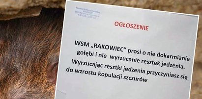 Ogłoszenie to robi furorę w internecie! Warszawska spółdzielnia walczy z "kopulacją szczurów"