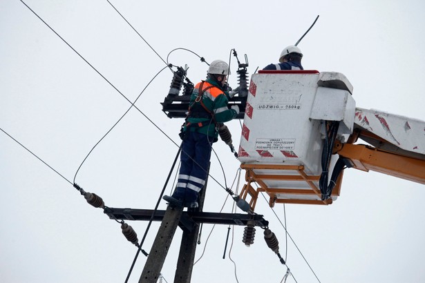 Bez prądu na Podlasiu. Śnieg zniszczył linie energetyczne