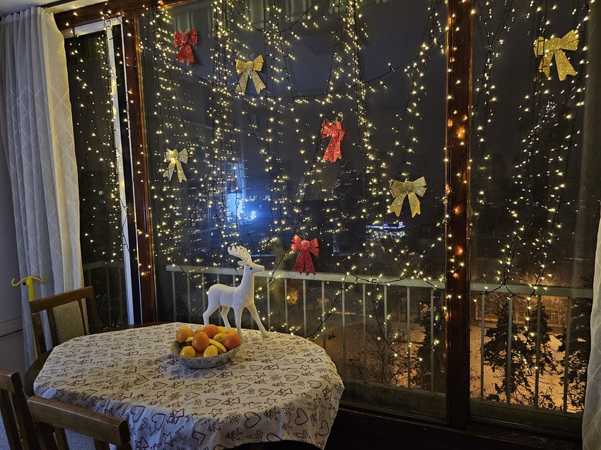 Porodica Maje i Alena Hadrovića