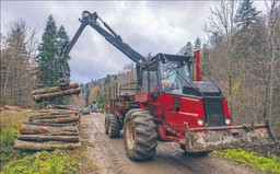 Spory o leśną rewolucję