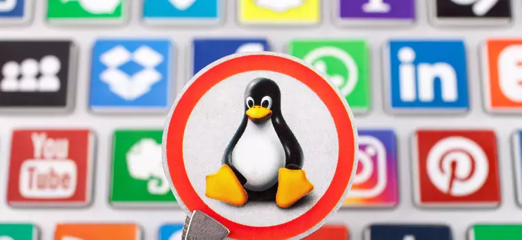 Linux 5.6 dostępny. Linus Torvalds uważa, że koronawirus nie zagraża dalszym pracom