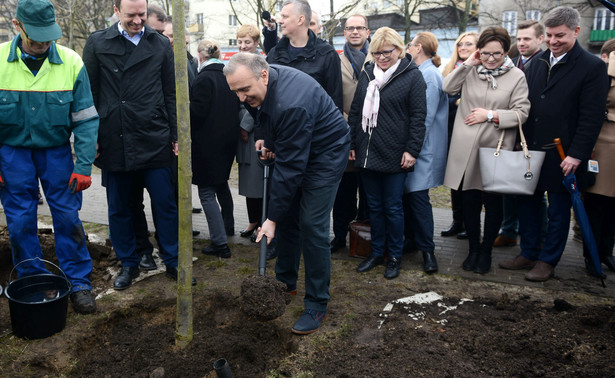 Poseł PO spisany przez policję, bo... sadził drzewa na trawniku. "Za blisko siedziby PiS"