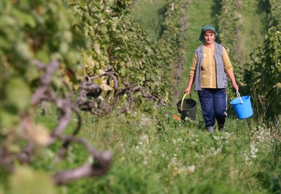 Koszty zatrudniania cudzoziemców rosną. Polskie firmy otworzą się na rodzimą siłę roboczą?