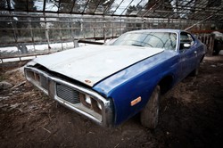 Jak ze złomu zrobić nówkę? Takie rzeczy tylko z... whiskey Rolling Stonesów