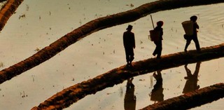 'Klan czerwonego sorga' Mo Yan - recenzja