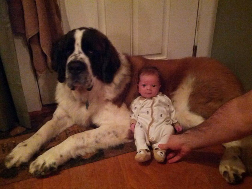 Dziecko i pies to najlepsi przyjaciele