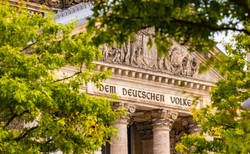 Milion drzew za trzy miliardy euro. Burza w Niemczech. "Absolutny żart"