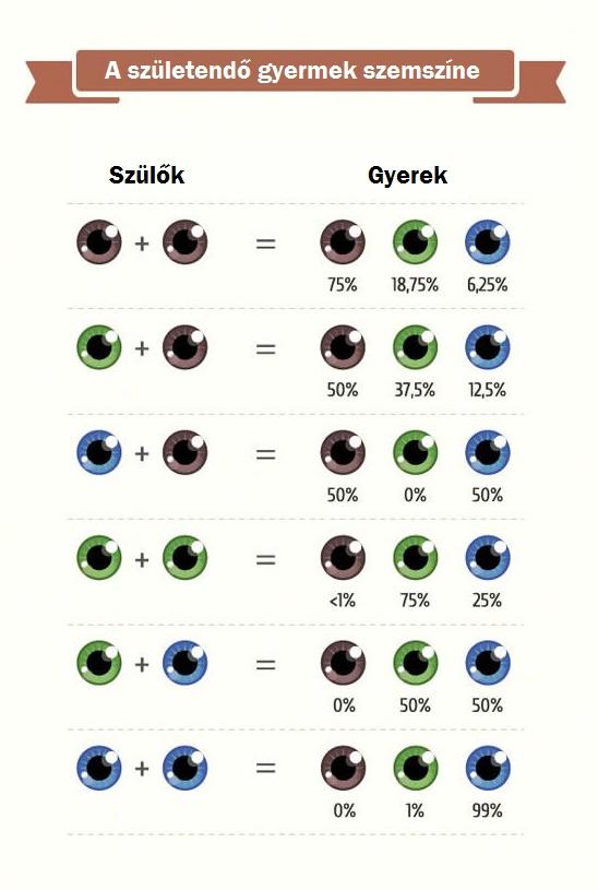 Milyen lesz a gyerek szeme színe? Ez a táblázat megmondja! - Blikk Rúzs