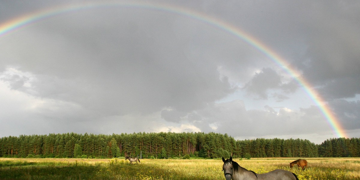 Mazury