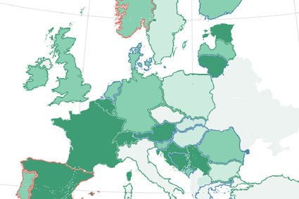 Najszybciej do sklepów wracali najbogatsi. Polska w ogonie Europy