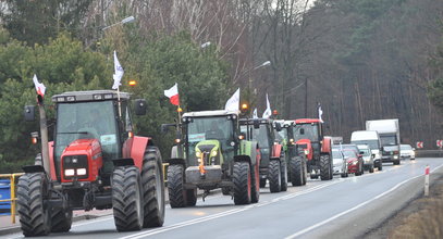 Protest rolników 29.02.2024. Gdzie Polacy mogą spodziewać się utrudnień w ruchu?