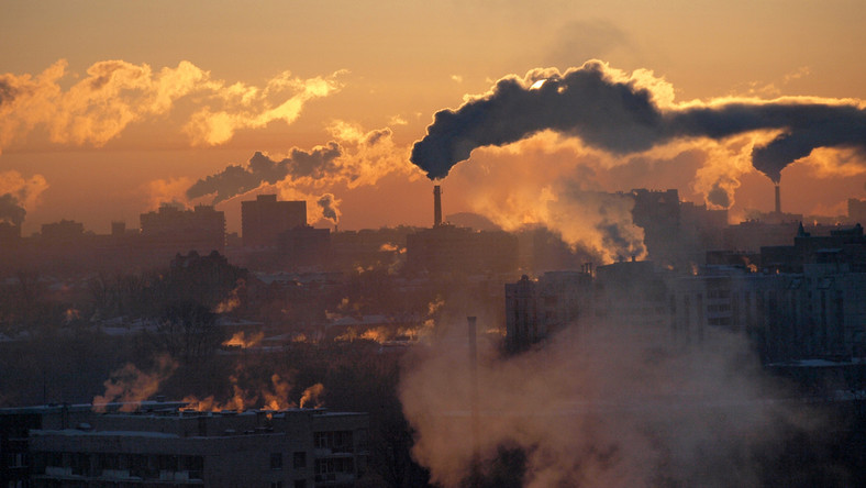 Zanieczyszczone powietrze Europy zabija, Polska w ścisłej czołówce - Zdrowie