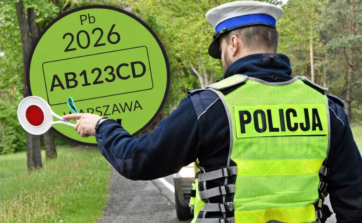 Nowa naklejka na auto obowiązkowa. Zmiany zaskoczą kierowców