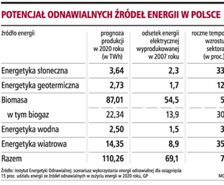 Na jedną biogazownię trzeba wydać nawet 4 mln euro