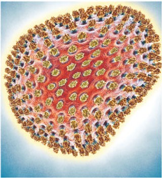 Polak wynalazl alkomat...diagnozujący grypę