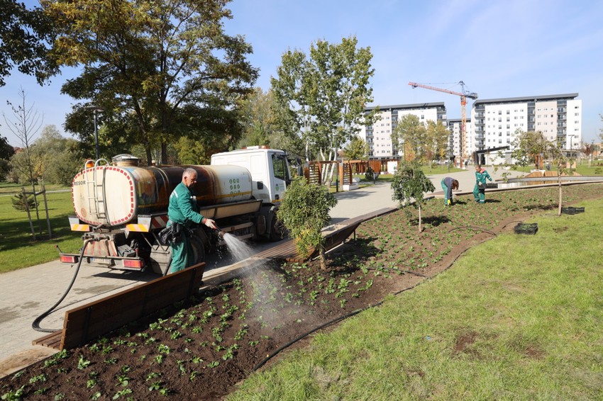 Ozeljenjavanje parka između Novog naselja i Detelinare