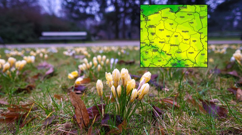 W weekend wiosna nie zapomni o żadnym miejscu. Zdumiewające temperatury (mapa: kachelmannwetter.de)