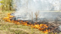 już nie 5 tys. zł, a 30 tys. zł kary. chwila nieuwagi może słono koszt