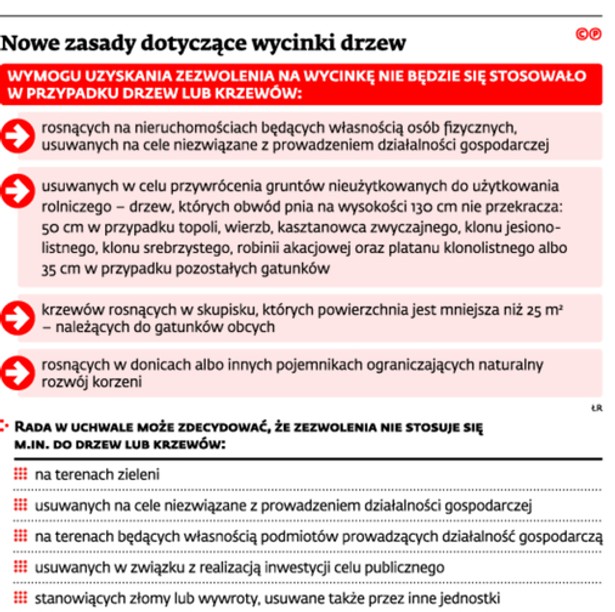 Nowe zasady dotyczące wycinki drzew