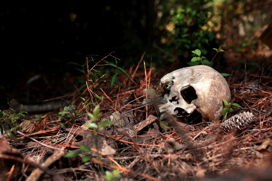Laboratorije na otvorenom mogu da iznedre važne dokaze o poreklu osobe