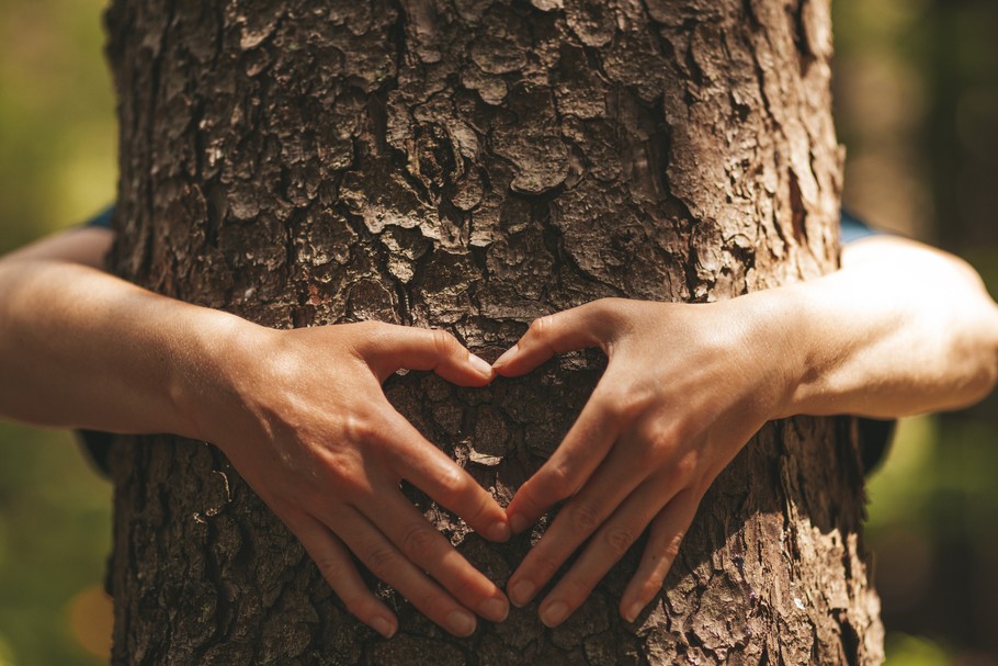 Człowiek ma naturalną potrzebę przebywania wśród zieleni, a życie w mieście wywołuje w nim głęboki głód natury. Istnieją badania pokazujące, że pobyt na łonie natury pomógł duńskim żołnierzom w poradzeniu sobie z zespołem stresu pourazowego