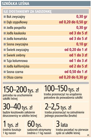 Zagranica chętnie kupuje polskie sadzonki