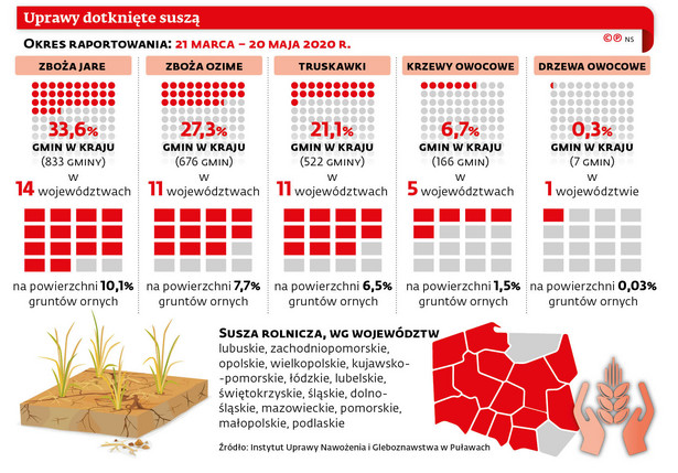 Gminy szacują suszę bez kadr i pieniędzy