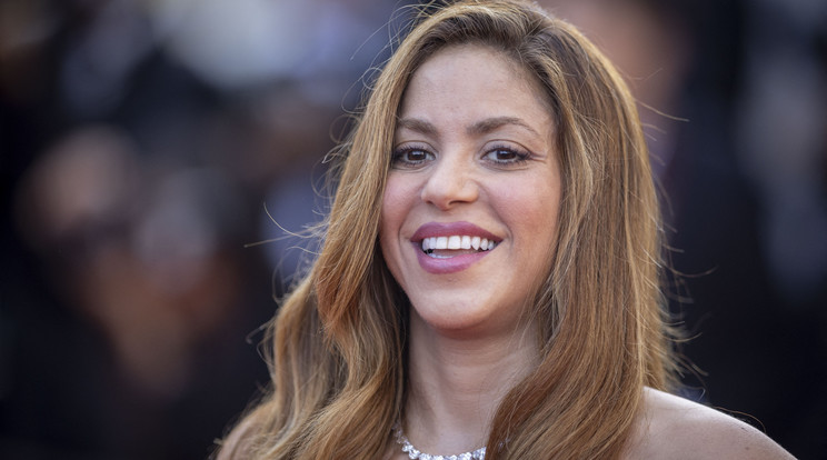 Shakira ellen 2018-ben indult az eljárás / Fotó: Northfoto