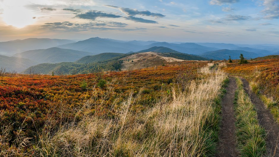 Szlak na Bukowe Berdo, Bieszczady