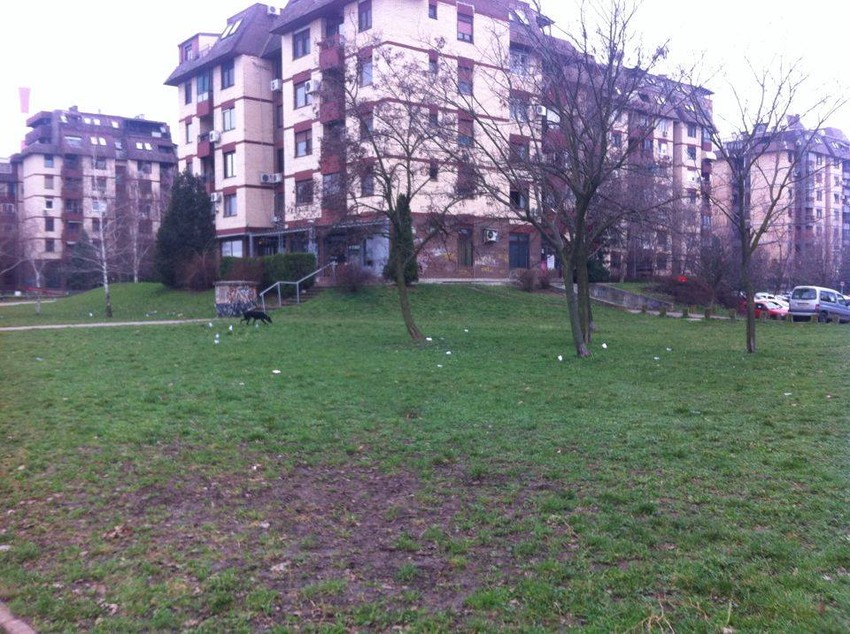 Papirići su svuda na šetalištu