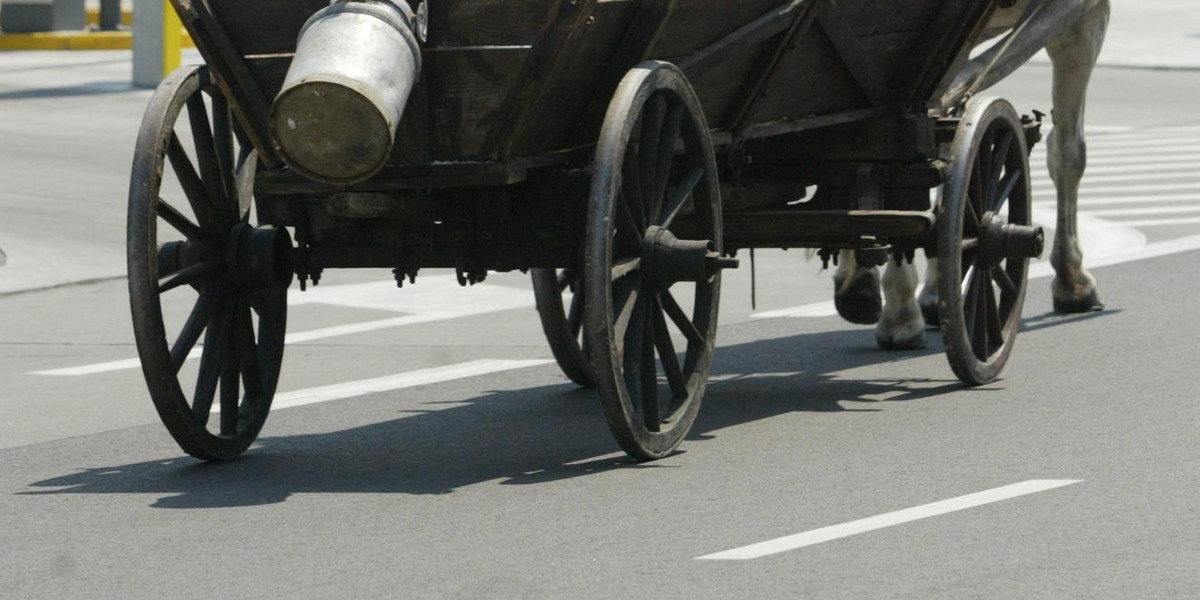 Uciekali przed policją... furmanką