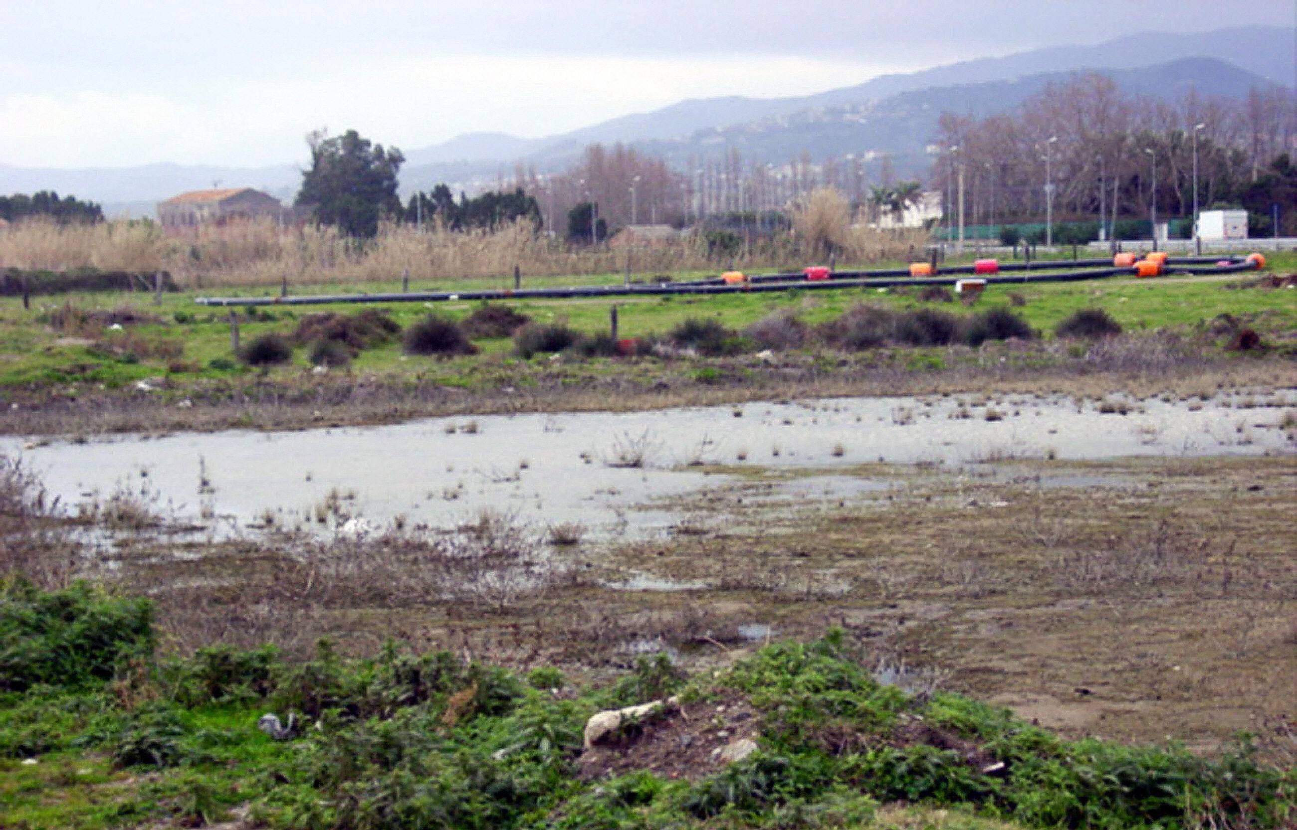 Badante russa morta: arrestato 60enne per omicidio