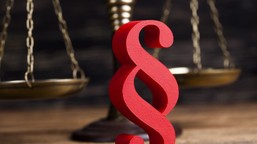 miliony w szarej strefie. sprawa roksy pokazuje skalę problemu