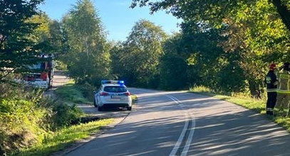 Tragiczna śmierć 17-letniego motocyklisty w Mirachowie. Nastolatek zginął przez psa...