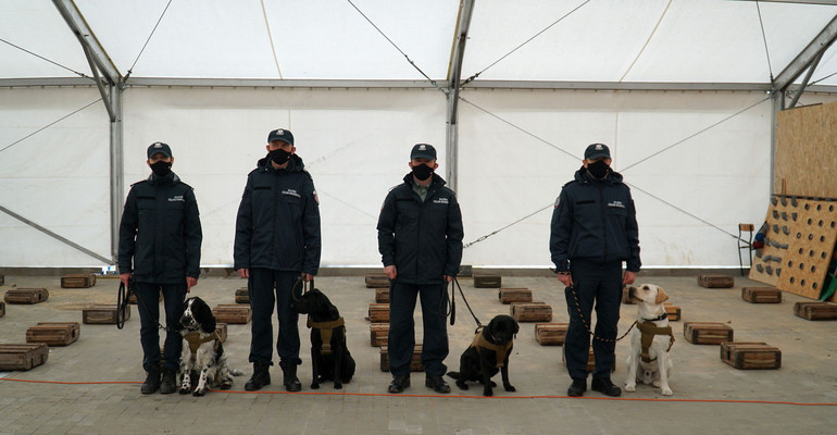 Psy służbowe KAS, jako pierwsze w Polsce pomogą w wykrywaniu COVID-19