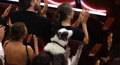 To on skradł oscarowy wieczór! Załatwił swoje potrzeby w Alei Sław