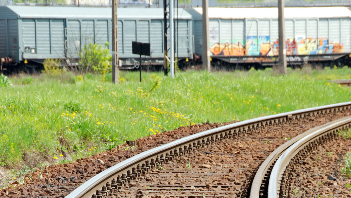 Podczas piątkowego głosowania Sejm poparł cztery senackie poprawki o charakterze legislacyjnym i doprecyzowującym do nowych przepisów o transporcie kolejowym. Ustawa ma dostosować polskie prawo do przepisów Unii Europejskiej.